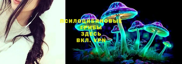 гидропоника Абдулино