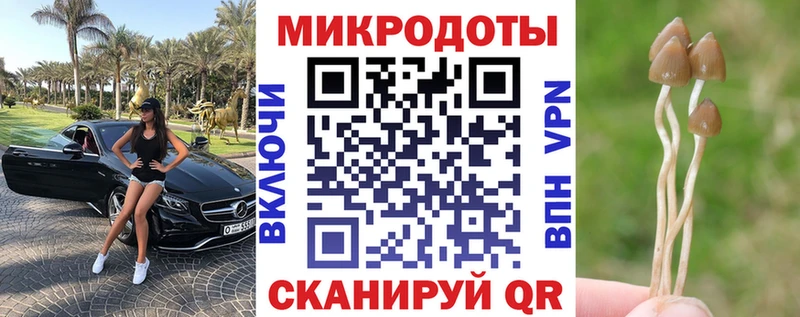 Псилоцибиновые грибы Magic Shrooms  Алейск 