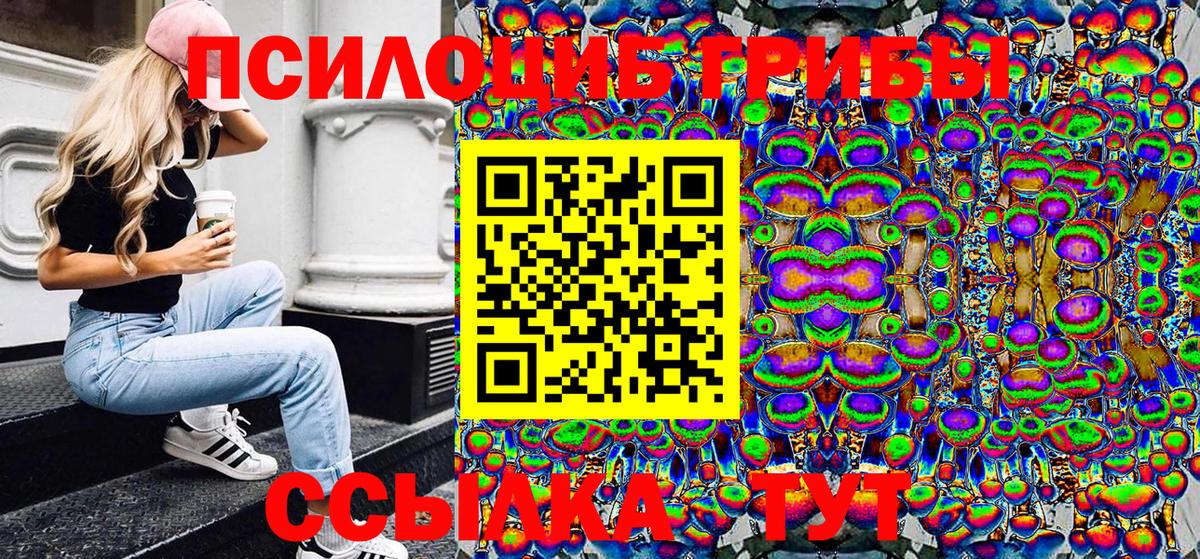 Псилоцибиновые грибы Psilocybe  Вход с VPN  купить закладку  Алейск  Псилоцибиновые грибы Cubensis 
